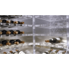 Полки из плексигласа для винных шкафов
