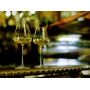 Бокал для игристого вина Italesse Etoile Sparkle