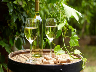 Отличие бокалов для белого вина